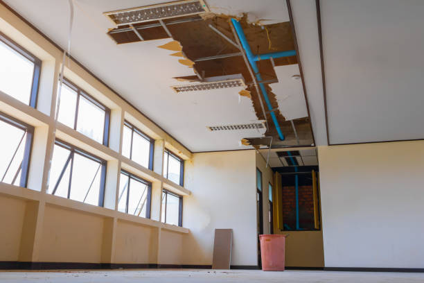 Best Water damage repair service  in Browns Lake, WI