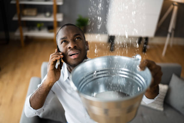 Best Mold removal after water damage  in Browns Lake, WI