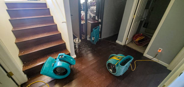 Reliable Browns Lake, WI Water damage restoration Solutions