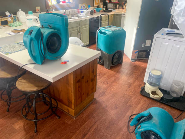 Best Commercial water damage restoration  in Browns Lake, WI