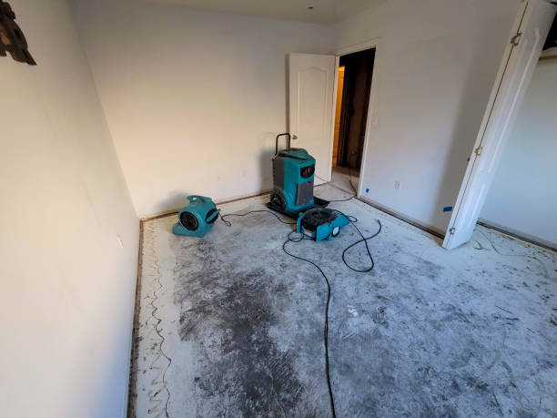 Best Water damage restoration near me  in Browns Lake, WI