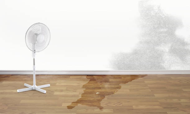 Best 24/7 water damage repair  in Browns Lake, WI