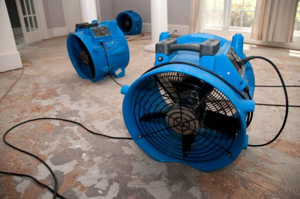 Best Local water damage restoration  in Browns Lake, WI