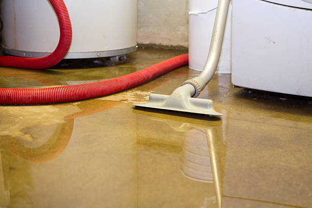Best Water damage restoration near me  in Browns Lake, WI