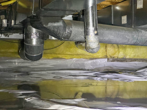 Best Water damage restoration near me  in Browns Lake, WI