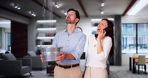 Best Basement water damage restoration  in Browns Lake, WI