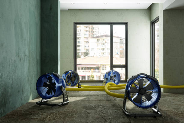 Best 24/7 water damage repair  in Browns Lake, WI